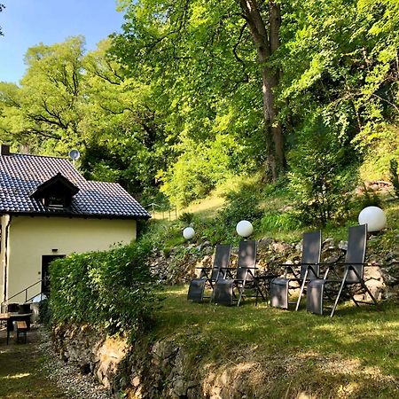 Chalet An Der Donau Direkt Bei Regensburg, 5 Sterne Dtv Pentling Exterior photo